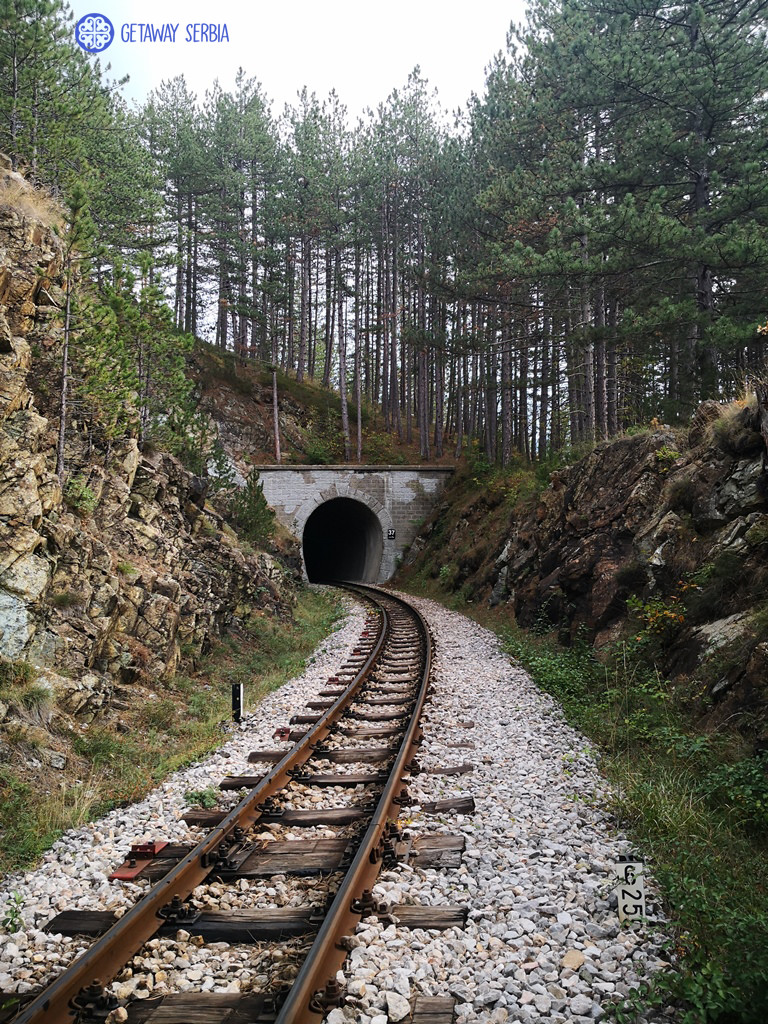 Mokra Gora & Shargan Eight Train- Western Serbia