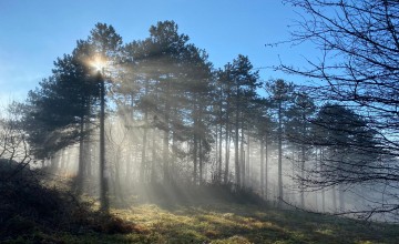 Nature in a nutshell- Tara National Park